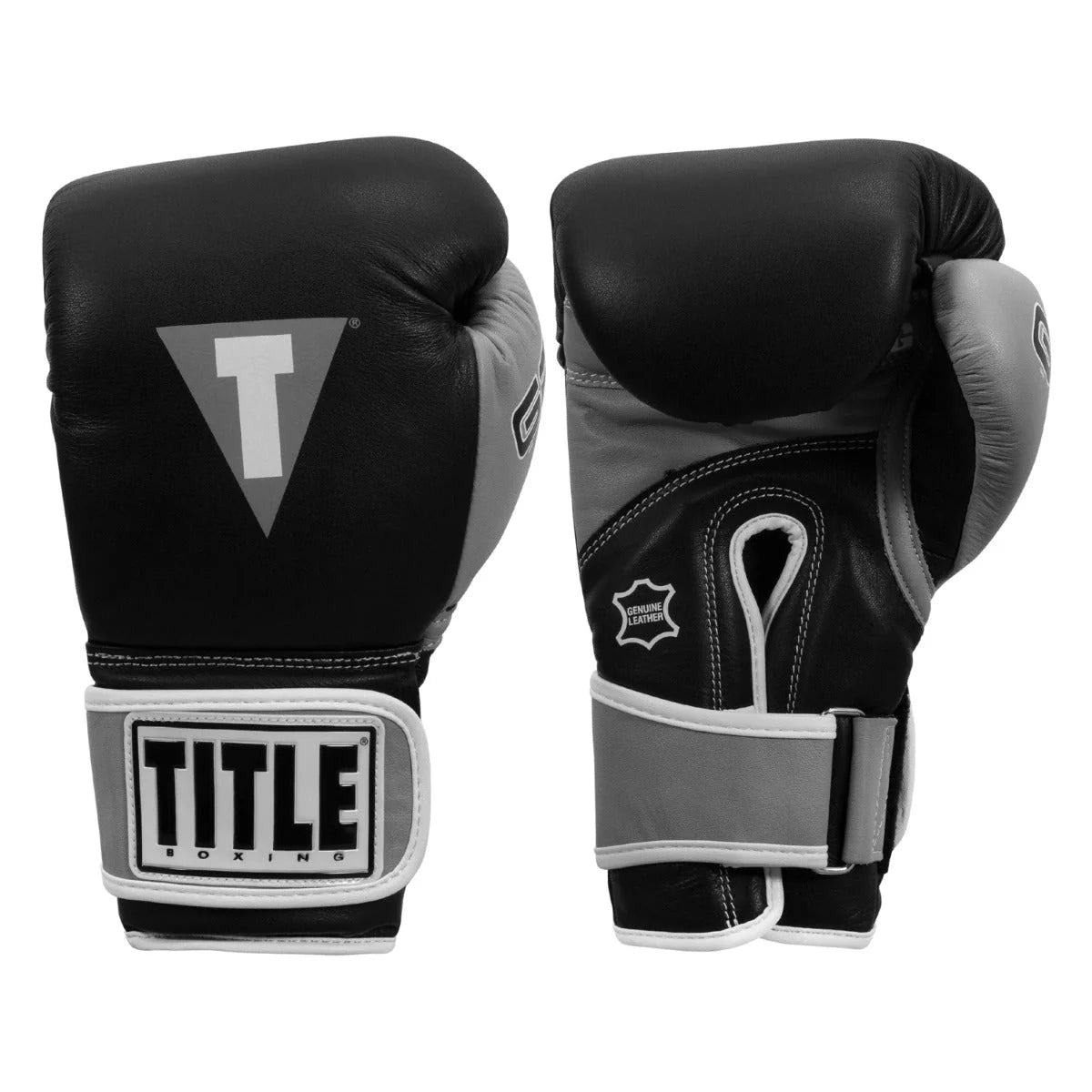 Boxing Gloves Title Gel World V2T Bag Black/Silver - S Size